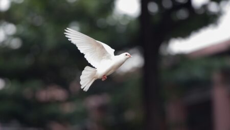 Boşanma Avukatı ile Anlaşma Sağlama Stratejileri