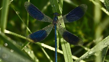 Boşanma Avukatı ile Süreç Yönetimi: Bilmeniz Gerekenler