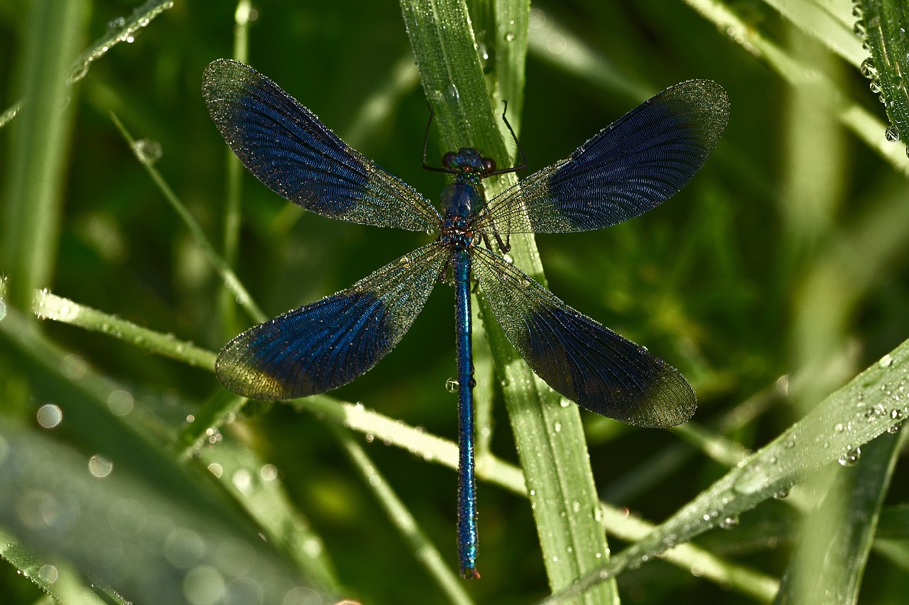 Boşanma Avukatı ile Süreç Yönetimi: Bilmeniz Gerekenler