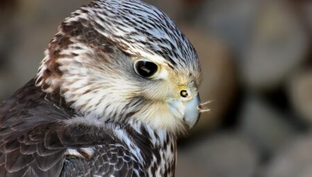 Boşanma Avukatı Seçerken Dikkat Edilmesi Gerekenler