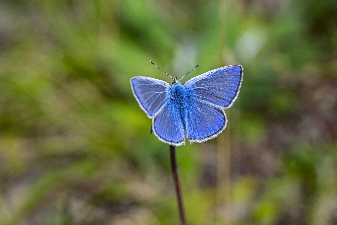 Boşanma Avukatı Seçerken Dikkatli Olmanın Yolları