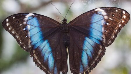 Boşanma Avukatı Seçerken Sormanız Gereken Sorular