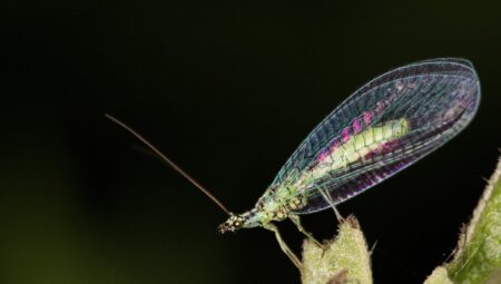 Boşanma Avukatı Ücretleri: Ne Kadar Ödemelisiniz?