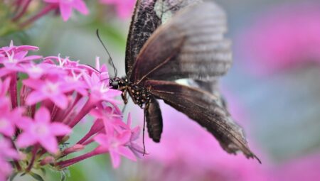 Boşanma Avukatının Rolü: Neden Önemlidir?