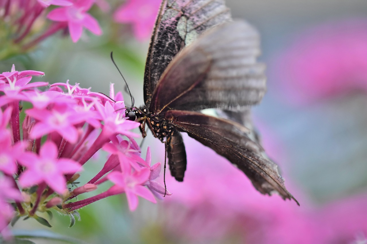 Boşanma Avukatının Rolü: Neden Önemlidir?