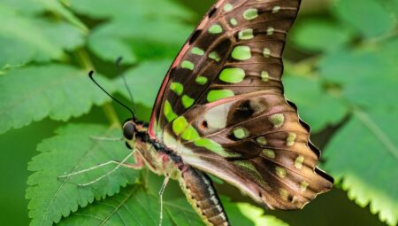 Boşanma Avukatının Stratejileri: Başarıya Giden Yol
