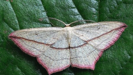 Boşanma Avukatıyla İlk Görüşme: Ne Beklemelisiniz?
