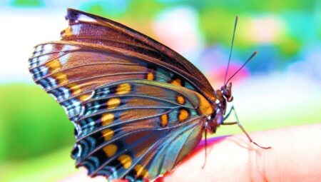 Boşanma Avukatları Hakkında Bilmeniz Gerekenler