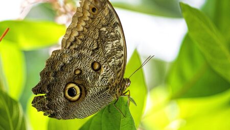 Boşanma Avukatları: Hangi Durumlarda Yardım Almalıyız?