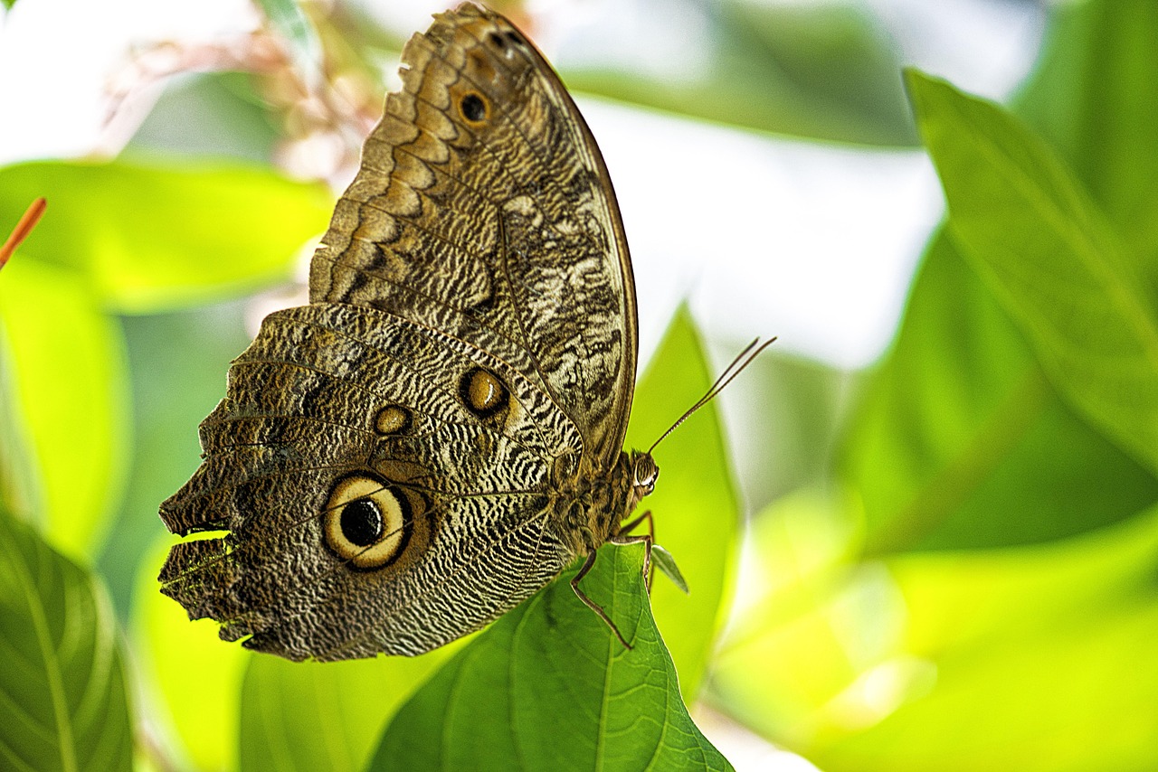 Boşanma Avukatları: Hangi Durumlarda Yardım Almalıyız?