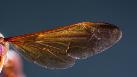 Boşanma Sürecinde Avukatın Rolü ve Önemi