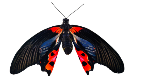 Boşanma Sürecinde Destek Almanın Önemi