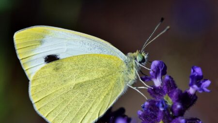 Boşanma Sürecinde Yapılmaması Gereken 5 Hata