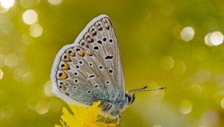 En İyi Boşanma Avukatını Bulmanın Yolları