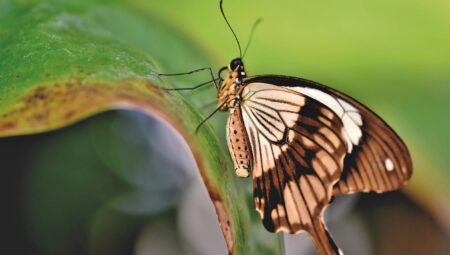 En İyi Boşanma Avukatları ile Çalışmanın Faydaları