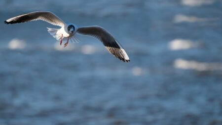 En İyi Boşanma Avukatları ile İletişim Kurmanın Önemi