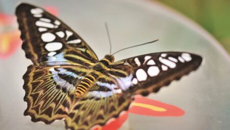En İyi Boşanma Avukatlarıyla Çalışmanın Avantajları