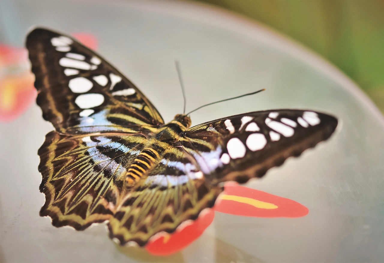 En İyi Boşanma Avukatlarıyla Çalışmanın Avantajları