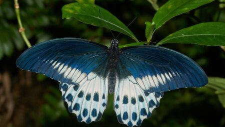 En İyi Boşanma Avukatlarıyla İletişim Kurmanın Yolları