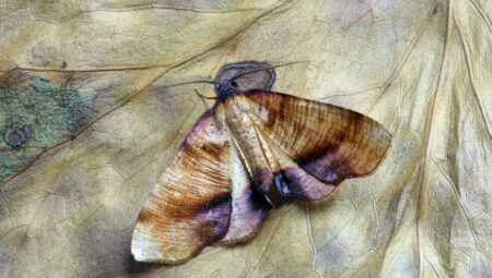 İstanbul’da Boşanma Avukatı Ararken Nelere Dikkat?