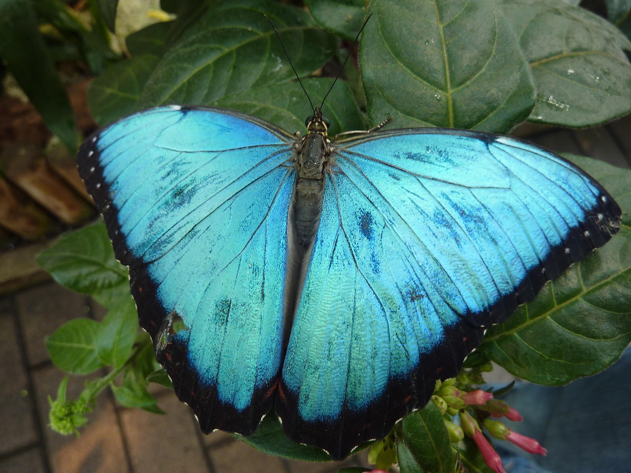 İstanbul'da Boşanma Avukatı Arayışında Olanlara Öneriler