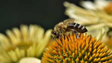 İstanbul’da Boşanma Avukatı Bulmanın Püf Noktaları
