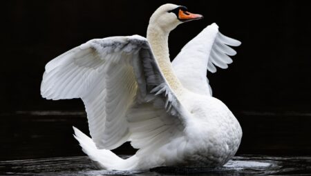 İstanbul’un En İyi Boşanma Avukatlarıyla Başarı Hikayeleri